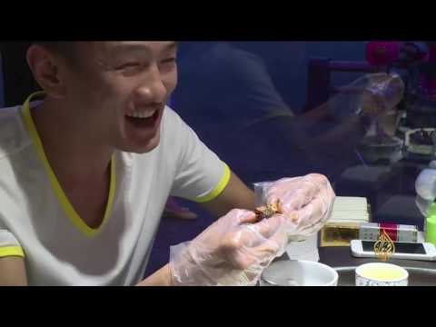 شاهد رأس الأرنب طبق مميز في الصين