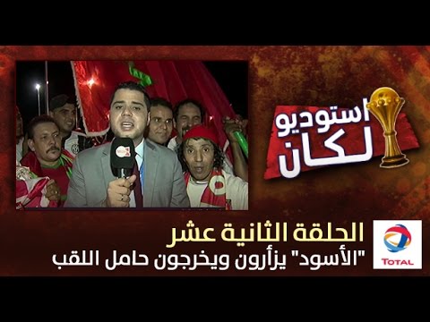 شاهد الأسود يزأرون ويخرجون حامل اللقب