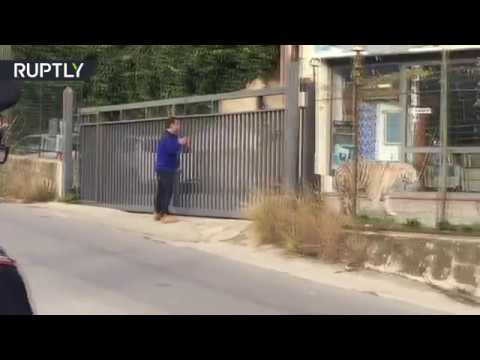 النمر أوسكار يهرب من سيرك في مدينة صقلية الإيطالية