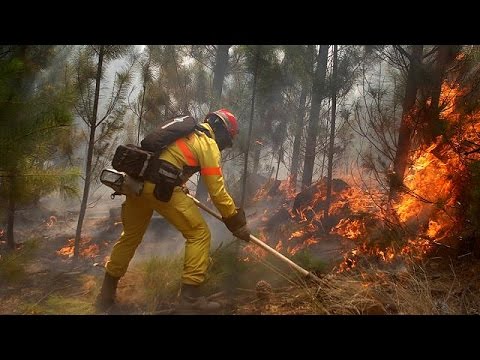 شاهد 11 قتيلًا على الأقل جراء اشتعال الغابات في تشيلي