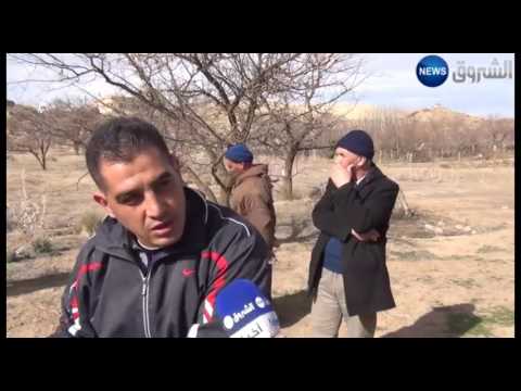 شاهد الجفاف يهدد محاصيل الفلاحين ببني فضالة ومطالب بالتدخل