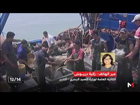 شاهد  النتائج التي حققها قطاع الصيد البحري