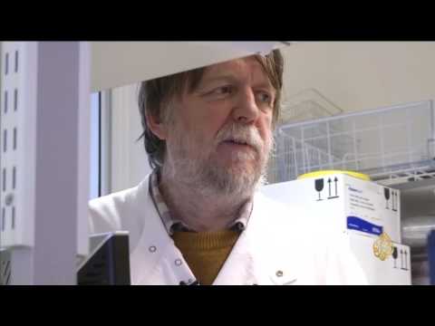 شاهد ضرب الكرة بالرأس يعرض اللاعبين للخطر