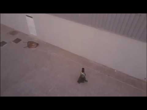 شاهدرد فعل آسيوي تبعته طائرة بدون طيار