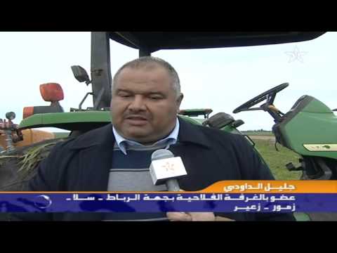 جهود للوقاية من الأعشاب الضارة في الخميسات