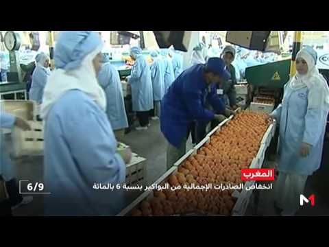 شاهد انخفاض الصادرات الإجمالية من البواكر