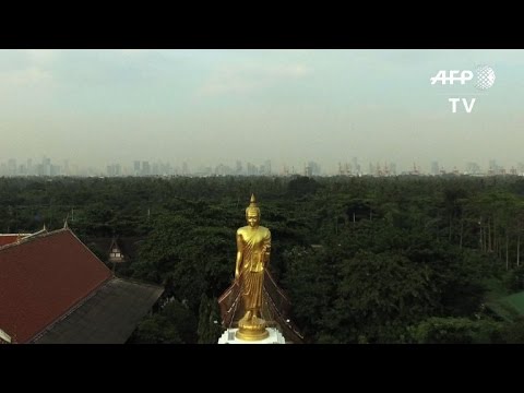 الرئة الخضراء للعاصمة التايلاندية تقاوم مشاريع التنمية الحضرية