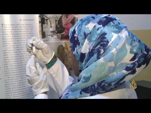 شاهد خيوط العنكبوت تمثل علاجًا فعالًا للجروح