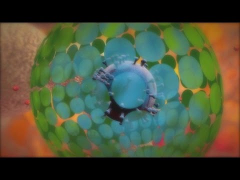 شاهد الإيدز ينتقل عبر الممارسة الجنسية أو استخدام أدوات المصاب