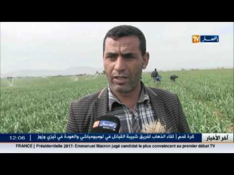 شاهد انهيار أسعار الثوم بداية من العد التنازلي للجنيه