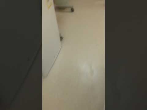 سعودية تعثر على دودة في طعام ابنتها المريضة في المستشفى