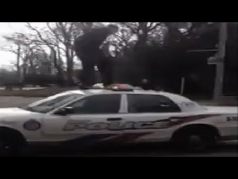 توقيف مختل عقليًّا هاجم الشرطة الأميركية