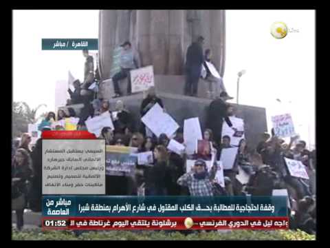 وقفة للمطالبة بحق الكلب المقتول في شبرا