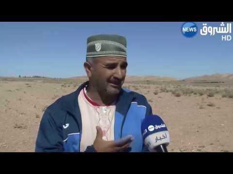 العراقيل الإدارية توقف النشاط الفلاحي