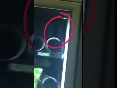 شاهد العثور على فأر داخل ماكينة بيع الطعام في جامعة بالسعودية