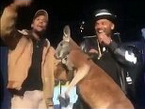 لحظة ضرب كنغر لأميركي على المسرح