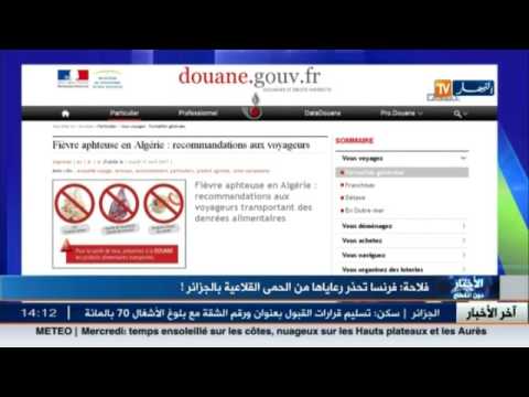 بالفيديو  فرنسا تحذر رعاياها من الحمى القلاعية في الجزائر