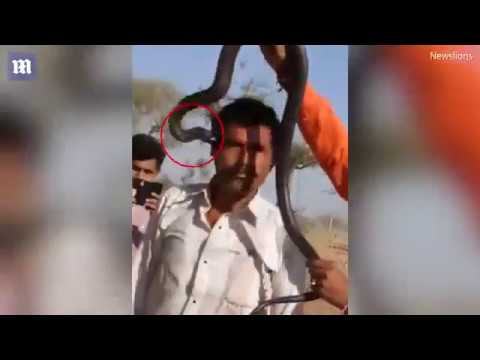 شاهد هندي يعرض صورته مع كوبرا ويموت بعد ساعة