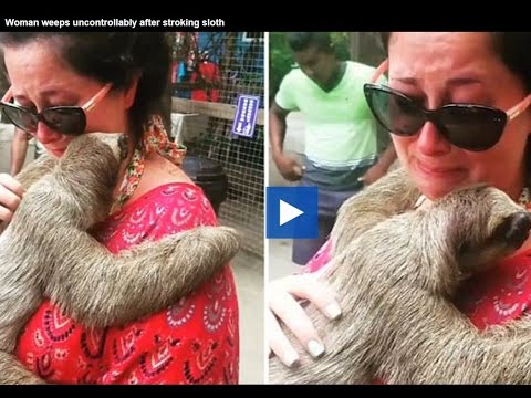 رد فعل إمرأة تحمل حيوان الكسلان لأول مرة