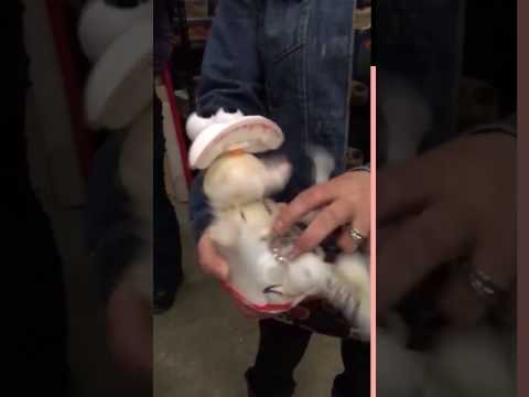 ابتكار روبوت كوميدي يخرجك من حالة الاكتئاب