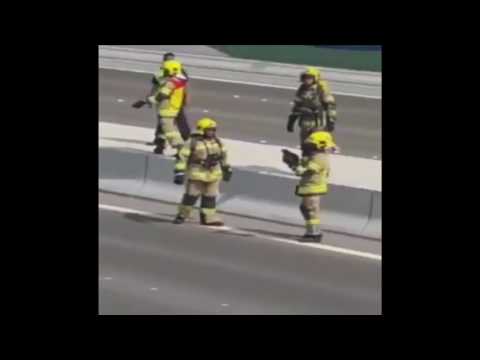 شاهد إغلاق شارع في أبو ظبي بسبب قطة