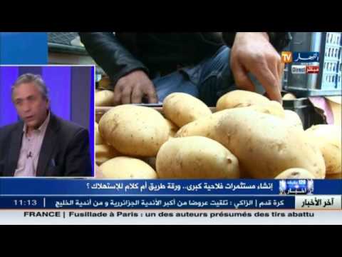 بالفيديو وعود لإنشاء مستثمرات زراعية كبرى في الجزائر