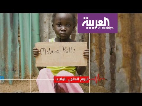 شاهد تدشين اليوم العالمي للملاريا