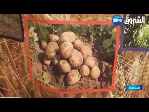 ارتفاع نسبة الوعي بفائدة التأمين على الممتلكات