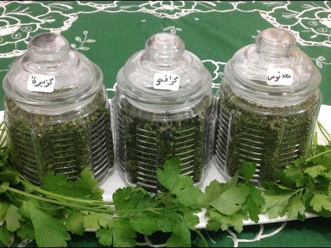 شاهد طريقة تجفيف القزبرة والبقدونس والكرافس وحفظ الخضرة أطول مدة ممكنة