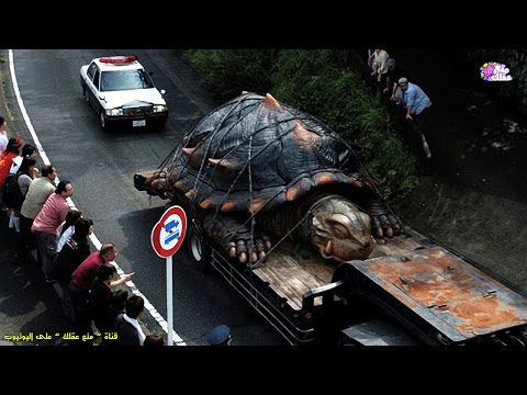 الأفيال ضمن أضخم 10 حيوانات في العالم