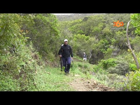 شاهد أكبر مسار غابوي في جهة طنجة