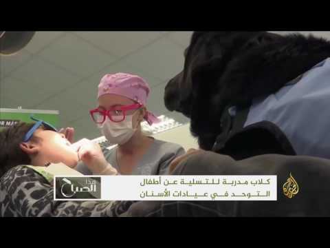 شاهد كلاب مدربة لتسلية أطفال التوحد بعيادة الأسنان