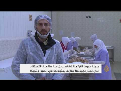 الكستناء فاكهة بورصا وحلواها تؤكل في شكل حلوى