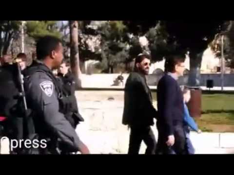 مستوطنون إسرائيليون يقتحمون المسجد الأقصى