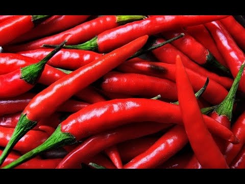 شاهد  فوائد وأضرار الفلفل الحارّ