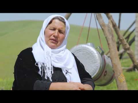 شاهد زازي جبن كردي لا يتقن صنعه إلا المحترفون