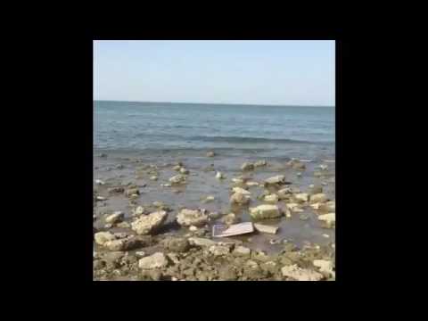 لحظة عثور كويتي على مجموعة من أعمال السحر