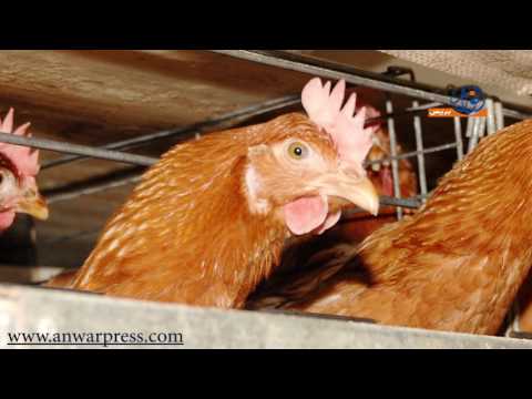 شاهد  الفدرالية المهنية تحصل على صفة الممثل الوحيد