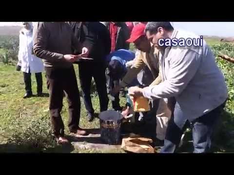 أضخم عملية حرق للمخدرات لعام 2015