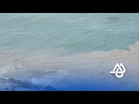 شاهد كيف تلوث المياه العادمة ساحل طنجة