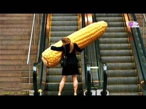 شاهد كيف سيكون طعامنا بعد 100 عام من الآن 