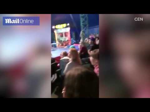 شاهد قطيع فيلة يرحب بفيل صغير تم إنقاذه