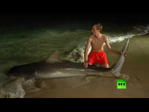 شاب أسترالي في الـ15 من عمره يحطم رقمًا قياسيًا في صيد أسماك القرش