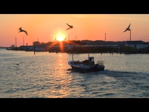 شاهد جزيرة تانجير الأميركية مهددة بالزوال