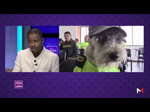 قصّة كلب أصبح شرطيًا ويتقاضى راتبًا شهريًا