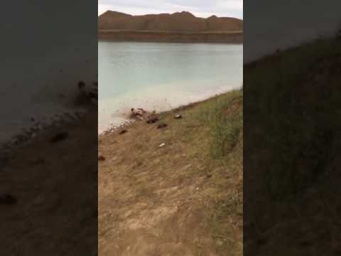 شاهد نهاية مؤلمة لشاب حاول القفز من أعلى جبل في البحر