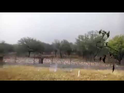 شاهد ثلوج بحجم كرة الغولف تقتل الماشية وتدمّر السيارات