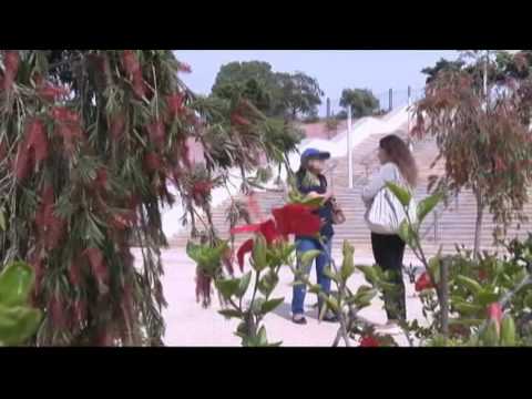 شاهد طبيبة مغربية تجري عمليات إجهاض لوزيرات