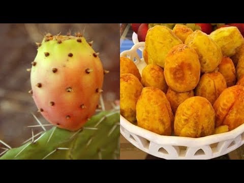 شاهد هذا ما يحدث لجسمك إذا تناولت التين الشوكي يوميًا