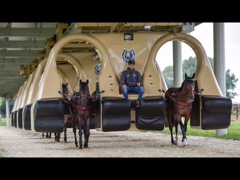 شاهد ابتكار آلة جديدة لتدريب الخيول على السباق